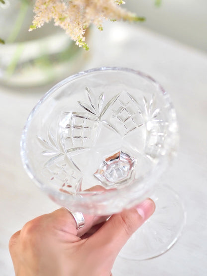 Livnestro Dublin Champagne Coupe